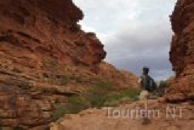 Kings Canyon NP-NT KC 7.Wanderer.jpg